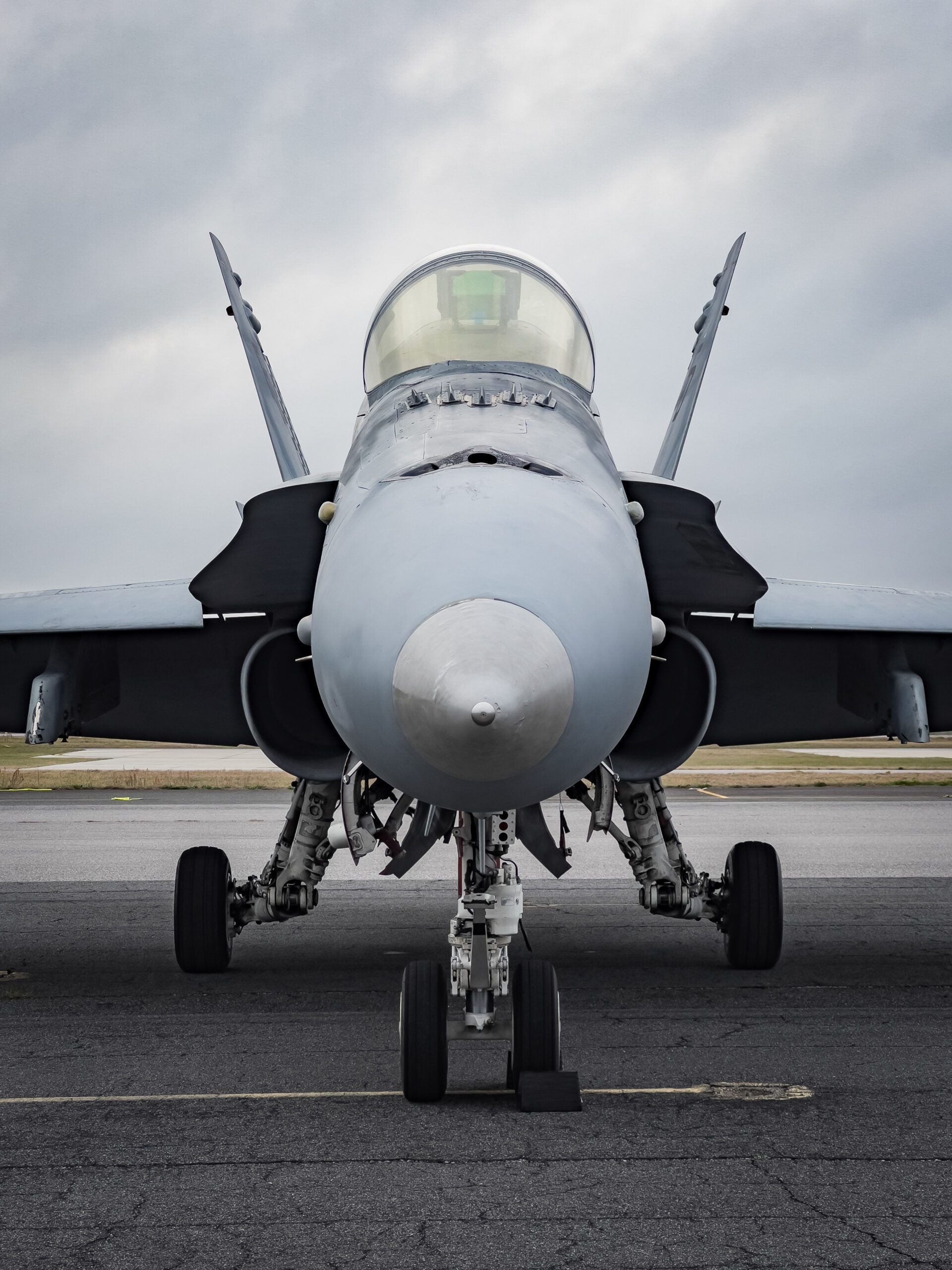 Legacy F/A-18 Hornet Fighter Jet