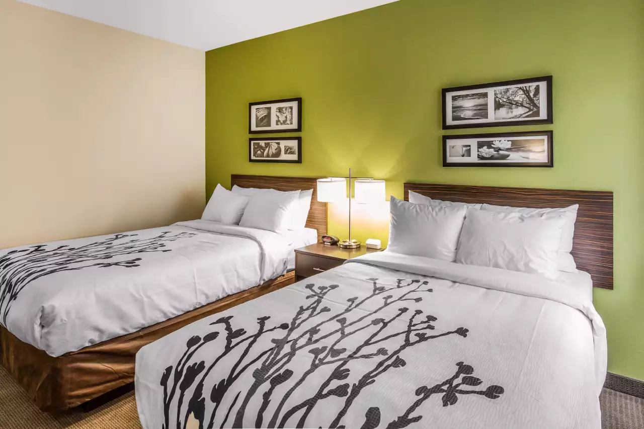 Hotel room with two queen beds, green accent wall, and pictures on the wall