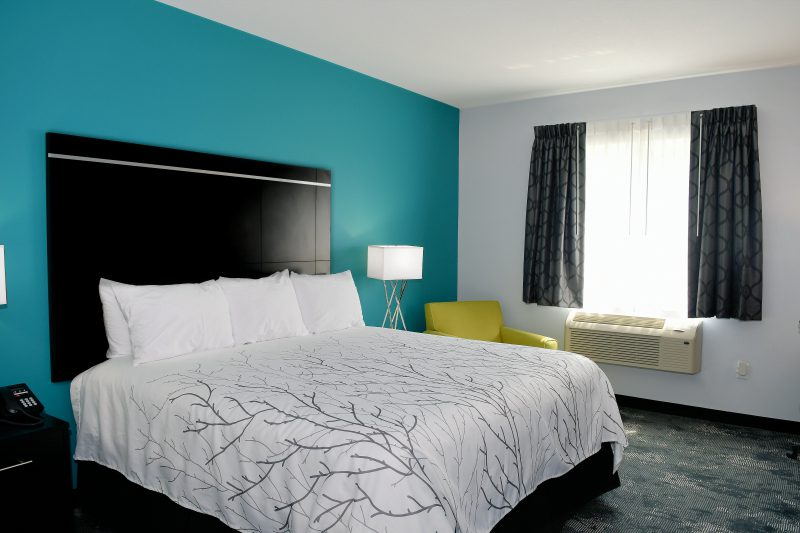Corning hotel room with teal accent wall, lime green chair, and tree graphic on the bedding.